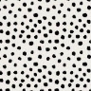 Meet your Posher, Lily